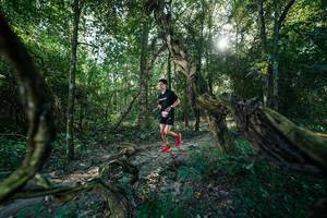 BIB: 
                            <button type="button" onclick="openModal(27953509)" class="btn btn-primary btn-sm float-right btn-popup" data-toggle="modal" data-target=".modal-high-quality">
                        <i class="fas fa-shopping-cart"></i> Add to Cart
                    </button>
                                            <button type="button" onclick="isThisMe(27953509, true)" class="btn btn-success btn-sm float-right btn-popup btn-isme hidden" data-toggle="tooltip" data-placement="bottom" title="นี่คือรูปของคุณใช่ไหม คลิกที่นี่เพื่อเอาเข้าอัลบั้ม">
                        <i class="fas fa-plus"></i> Add to album
                    </button>
                    <button type="button" onclick="isThisMe(27953509, false)" class="btn btn-warning btn-sm float-right btn-popup btn-isnotme hidden">
                        <i class="fas fa-ban"></i> Remove from album
                    </button>