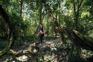 BIB: 
                            <button type="button" onclick="openModal(28068868)" class="btn btn-primary btn-sm float-right btn-popup" data-toggle="modal" data-target=".modal-high-quality">
                        <i class="fas fa-shopping-cart"></i> Add to Cart
                    </button>
                                            <button type="button" onclick="isThisMe(28068868, true)" class="btn btn-success btn-sm float-right btn-popup btn-isme hidden" data-toggle="tooltip" data-placement="bottom" title="นี่คือรูปของคุณใช่ไหม คลิกที่นี่เพื่อเอาเข้าอัลบั้ม">
                        <i class="fas fa-plus"></i> Add to album
                    </button>
                    <button type="button" onclick="isThisMe(28068868, false)" class="btn btn-warning btn-sm float-right btn-popup btn-isnotme hidden">
                        <i class="fas fa-ban"></i> Remove from album
                    </button>