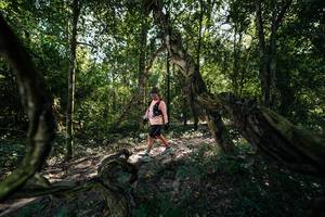 BIB: 
                            <button type="button" onclick="openModal(28056467)" class="btn btn-primary btn-sm float-right btn-popup" data-toggle="modal" data-target=".modal-high-quality">
                        <i class="fas fa-shopping-cart"></i> Add to Cart
                    </button>
                                            <button type="button" onclick="isThisMe(28056467, true)" class="btn btn-success btn-sm float-right btn-popup btn-isme hidden" data-toggle="tooltip" data-placement="bottom" title="นี่คือรูปของคุณใช่ไหม คลิกที่นี่เพื่อเอาเข้าอัลบั้ม">
                        <i class="fas fa-plus"></i> Add to album
                    </button>
                    <button type="button" onclick="isThisMe(28056467, false)" class="btn btn-warning btn-sm float-right btn-popup btn-isnotme hidden">
                        <i class="fas fa-ban"></i> Remove from album
                    </button>