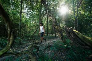 BIB: 
                            <button type="button" onclick="openModal(27953865)" class="btn btn-primary btn-sm float-right btn-popup" data-toggle="modal" data-target=".modal-high-quality">
                        <i class="fas fa-shopping-cart"></i> Add to Cart
                    </button>
                                            <button type="button" onclick="isThisMe(27953865, true)" class="btn btn-success btn-sm float-right btn-popup btn-isme hidden" data-toggle="tooltip" data-placement="bottom" title="นี่คือรูปของคุณใช่ไหม คลิกที่นี่เพื่อเอาเข้าอัลบั้ม">
                        <i class="fas fa-plus"></i> Add to album
                    </button>
                    <button type="button" onclick="isThisMe(27953865, false)" class="btn btn-warning btn-sm float-right btn-popup btn-isnotme hidden">
                        <i class="fas fa-ban"></i> Remove from album
                    </button>