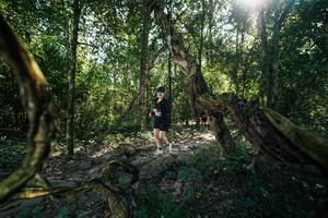 BIB: 
                            <button type="button" onclick="openModal(28057305)" class="btn btn-primary btn-sm float-right btn-popup" data-toggle="modal" data-target=".modal-high-quality">
                        <i class="fas fa-shopping-cart"></i> Add to Cart
                    </button>
                                            <button type="button" onclick="isThisMe(28057305, true)" class="btn btn-success btn-sm float-right btn-popup btn-isme hidden" data-toggle="tooltip" data-placement="bottom" title="นี่คือรูปของคุณใช่ไหม คลิกที่นี่เพื่อเอาเข้าอัลบั้ม">
                        <i class="fas fa-plus"></i> Add to album
                    </button>
                    <button type="button" onclick="isThisMe(28057305, false)" class="btn btn-warning btn-sm float-right btn-popup btn-isnotme hidden">
                        <i class="fas fa-ban"></i> Remove from album
                    </button>