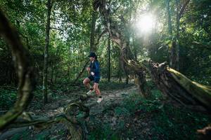 BIB: 
                            <button type="button" onclick="openModal(27953919)" class="btn btn-primary btn-sm float-right btn-popup" data-toggle="modal" data-target=".modal-high-quality">
                        <i class="fas fa-shopping-cart"></i> Add to Cart
                    </button>
                                            <button type="button" onclick="isThisMe(27953919, true)" class="btn btn-success btn-sm float-right btn-popup btn-isme hidden" data-toggle="tooltip" data-placement="bottom" title="นี่คือรูปของคุณใช่ไหม คลิกที่นี่เพื่อเอาเข้าอัลบั้ม">
                        <i class="fas fa-plus"></i> Add to album
                    </button>
                    <button type="button" onclick="isThisMe(27953919, false)" class="btn btn-warning btn-sm float-right btn-popup btn-isnotme hidden">
                        <i class="fas fa-ban"></i> Remove from album
                    </button>