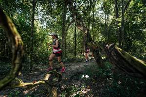 BIB: 
                            <button type="button" onclick="openModal(28058689)" class="btn btn-primary btn-sm float-right btn-popup" data-toggle="modal" data-target=".modal-high-quality">
                        <i class="fas fa-shopping-cart"></i> Add to Cart
                    </button>
                                            <button type="button" onclick="isThisMe(28058689, true)" class="btn btn-success btn-sm float-right btn-popup btn-isme hidden" data-toggle="tooltip" data-placement="bottom" title="นี่คือรูปของคุณใช่ไหม คลิกที่นี่เพื่อเอาเข้าอัลบั้ม">
                        <i class="fas fa-plus"></i> Add to album
                    </button>
                    <button type="button" onclick="isThisMe(28058689, false)" class="btn btn-warning btn-sm float-right btn-popup btn-isnotme hidden">
                        <i class="fas fa-ban"></i> Remove from album
                    </button>