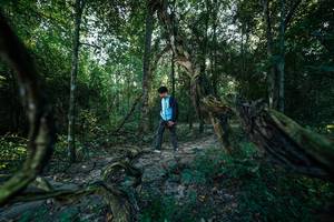 BIB: 
                            <button type="button" onclick="openModal(27953076)" class="btn btn-primary btn-sm float-right btn-popup" data-toggle="modal" data-target=".modal-high-quality">
                        <i class="fas fa-shopping-cart"></i> Add to Cart
                    </button>
                                            <button type="button" onclick="isThisMe(27953076, true)" class="btn btn-success btn-sm float-right btn-popup btn-isme hidden" data-toggle="tooltip" data-placement="bottom" title="นี่คือรูปของคุณใช่ไหม คลิกที่นี่เพื่อเอาเข้าอัลบั้ม">
                        <i class="fas fa-plus"></i> Add to album
                    </button>
                    <button type="button" onclick="isThisMe(27953076, false)" class="btn btn-warning btn-sm float-right btn-popup btn-isnotme hidden">
                        <i class="fas fa-ban"></i> Remove from album
                    </button>