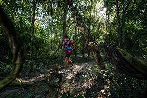 BIB: 
                            <button type="button" onclick="openModal(27955079)" class="btn btn-primary btn-sm float-right btn-popup" data-toggle="modal" data-target=".modal-high-quality">
                        <i class="fas fa-shopping-cart"></i> Add to Cart
                    </button>
                                            <button type="button" onclick="isThisMe(27955079, true)" class="btn btn-success btn-sm float-right btn-popup btn-isme hidden" data-toggle="tooltip" data-placement="bottom" title="นี่คือรูปของคุณใช่ไหม คลิกที่นี่เพื่อเอาเข้าอัลบั้ม">
                        <i class="fas fa-plus"></i> Add to album
                    </button>
                    <button type="button" onclick="isThisMe(27955079, false)" class="btn btn-warning btn-sm float-right btn-popup btn-isnotme hidden">
                        <i class="fas fa-ban"></i> Remove from album
                    </button>