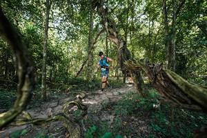 BIB: 
                            <button type="button" onclick="openModal(28073443)" class="btn btn-primary btn-sm float-right btn-popup" data-toggle="modal" data-target=".modal-high-quality">
                        <i class="fas fa-shopping-cart"></i> Add to Cart
                    </button>
                                            <button type="button" onclick="isThisMe(28073443, true)" class="btn btn-success btn-sm float-right btn-popup btn-isme hidden" data-toggle="tooltip" data-placement="bottom" title="นี่คือรูปของคุณใช่ไหม คลิกที่นี่เพื่อเอาเข้าอัลบั้ม">
                        <i class="fas fa-plus"></i> Add to album
                    </button>
                    <button type="button" onclick="isThisMe(28073443, false)" class="btn btn-warning btn-sm float-right btn-popup btn-isnotme hidden">
                        <i class="fas fa-ban"></i> Remove from album
                    </button>