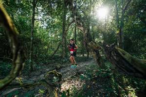 BIB: 
                            <button type="button" onclick="openModal(27954662)" class="btn btn-primary btn-sm float-right btn-popup" data-toggle="modal" data-target=".modal-high-quality">
                        <i class="fas fa-shopping-cart"></i> Add to Cart
                    </button>
                                            <button type="button" onclick="isThisMe(27954662, true)" class="btn btn-success btn-sm float-right btn-popup btn-isme hidden" data-toggle="tooltip" data-placement="bottom" title="นี่คือรูปของคุณใช่ไหม คลิกที่นี่เพื่อเอาเข้าอัลบั้ม">
                        <i class="fas fa-plus"></i> Add to album
                    </button>
                    <button type="button" onclick="isThisMe(27954662, false)" class="btn btn-warning btn-sm float-right btn-popup btn-isnotme hidden">
                        <i class="fas fa-ban"></i> Remove from album
                    </button>