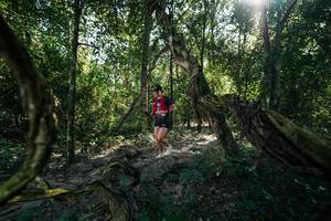 BIB: 
                            <button type="button" onclick="openModal(28057487)" class="btn btn-primary btn-sm float-right btn-popup" data-toggle="modal" data-target=".modal-high-quality">
                        <i class="fas fa-shopping-cart"></i> Add to Cart
                    </button>
                                            <button type="button" onclick="isThisMe(28057487, true)" class="btn btn-success btn-sm float-right btn-popup btn-isme hidden" data-toggle="tooltip" data-placement="bottom" title="นี่คือรูปของคุณใช่ไหม คลิกที่นี่เพื่อเอาเข้าอัลบั้ม">
                        <i class="fas fa-plus"></i> Add to album
                    </button>
                    <button type="button" onclick="isThisMe(28057487, false)" class="btn btn-warning btn-sm float-right btn-popup btn-isnotme hidden">
                        <i class="fas fa-ban"></i> Remove from album
                    </button>