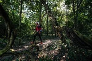 BIB: 
                            <button type="button" onclick="openModal(27955131)" class="btn btn-primary btn-sm float-right btn-popup" data-toggle="modal" data-target=".modal-high-quality">
                        <i class="fas fa-shopping-cart"></i> Add to Cart
                    </button>
                                            <button type="button" onclick="isThisMe(27955131, true)" class="btn btn-success btn-sm float-right btn-popup btn-isme hidden" data-toggle="tooltip" data-placement="bottom" title="นี่คือรูปของคุณใช่ไหม คลิกที่นี่เพื่อเอาเข้าอัลบั้ม">
                        <i class="fas fa-plus"></i> Add to album
                    </button>
                    <button type="button" onclick="isThisMe(27955131, false)" class="btn btn-warning btn-sm float-right btn-popup btn-isnotme hidden">
                        <i class="fas fa-ban"></i> Remove from album
                    </button>