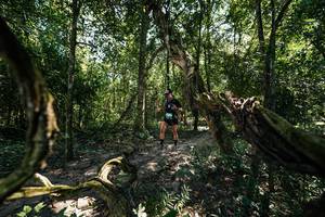 BIB: 
                            <button type="button" onclick="openModal(28068459)" class="btn btn-primary btn-sm float-right btn-popup" data-toggle="modal" data-target=".modal-high-quality">
                        <i class="fas fa-shopping-cart"></i> Add to Cart
                    </button>
                                            <button type="button" onclick="isThisMe(28068459, true)" class="btn btn-success btn-sm float-right btn-popup btn-isme hidden" data-toggle="tooltip" data-placement="bottom" title="นี่คือรูปของคุณใช่ไหม คลิกที่นี่เพื่อเอาเข้าอัลบั้ม">
                        <i class="fas fa-plus"></i> Add to album
                    </button>
                    <button type="button" onclick="isThisMe(28068459, false)" class="btn btn-warning btn-sm float-right btn-popup btn-isnotme hidden">
                        <i class="fas fa-ban"></i> Remove from album
                    </button>