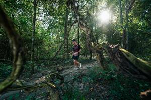 BIB: 
                            <button type="button" onclick="openModal(27953967)" class="btn btn-primary btn-sm float-right btn-popup" data-toggle="modal" data-target=".modal-high-quality">
                        <i class="fas fa-shopping-cart"></i> Add to Cart
                    </button>
                                            <button type="button" onclick="isThisMe(27953967, true)" class="btn btn-success btn-sm float-right btn-popup btn-isme hidden" data-toggle="tooltip" data-placement="bottom" title="นี่คือรูปของคุณใช่ไหม คลิกที่นี่เพื่อเอาเข้าอัลบั้ม">
                        <i class="fas fa-plus"></i> Add to album
                    </button>
                    <button type="button" onclick="isThisMe(27953967, false)" class="btn btn-warning btn-sm float-right btn-popup btn-isnotme hidden">
                        <i class="fas fa-ban"></i> Remove from album
                    </button>