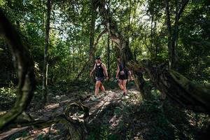 BIB: 
                            <button type="button" onclick="openModal(27955379)" class="btn btn-primary btn-sm float-right btn-popup" data-toggle="modal" data-target=".modal-high-quality">
                        <i class="fas fa-shopping-cart"></i> Add to Cart
                    </button>
                                            <button type="button" onclick="isThisMe(27955379, true)" class="btn btn-success btn-sm float-right btn-popup btn-isme hidden" data-toggle="tooltip" data-placement="bottom" title="นี่คือรูปของคุณใช่ไหม คลิกที่นี่เพื่อเอาเข้าอัลบั้ม">
                        <i class="fas fa-plus"></i> Add to album
                    </button>
                    <button type="button" onclick="isThisMe(27955379, false)" class="btn btn-warning btn-sm float-right btn-popup btn-isnotme hidden">
                        <i class="fas fa-ban"></i> Remove from album
                    </button>