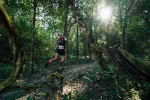 BIB: 
                            <button type="button" onclick="openModal(27954604)" class="btn btn-primary btn-sm float-right btn-popup" data-toggle="modal" data-target=".modal-high-quality">
                        <i class="fas fa-shopping-cart"></i> Add to Cart
                    </button>
                                            <button type="button" onclick="isThisMe(27954604, true)" class="btn btn-success btn-sm float-right btn-popup btn-isme hidden" data-toggle="tooltip" data-placement="bottom" title="นี่คือรูปของคุณใช่ไหม คลิกที่นี่เพื่อเอาเข้าอัลบั้ม">
                        <i class="fas fa-plus"></i> Add to album
                    </button>
                    <button type="button" onclick="isThisMe(27954604, false)" class="btn btn-warning btn-sm float-right btn-popup btn-isnotme hidden">
                        <i class="fas fa-ban"></i> Remove from album
                    </button>