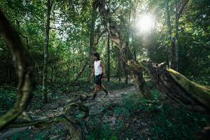 BIB: 
                            <button type="button" onclick="openModal(27953860)" class="btn btn-primary btn-sm float-right btn-popup" data-toggle="modal" data-target=".modal-high-quality">
                        <i class="fas fa-shopping-cart"></i> Add to Cart
                    </button>
                                            <button type="button" onclick="isThisMe(27953860, true)" class="btn btn-success btn-sm float-right btn-popup btn-isme hidden" data-toggle="tooltip" data-placement="bottom" title="นี่คือรูปของคุณใช่ไหม คลิกที่นี่เพื่อเอาเข้าอัลบั้ม">
                        <i class="fas fa-plus"></i> Add to album
                    </button>
                    <button type="button" onclick="isThisMe(27953860, false)" class="btn btn-warning btn-sm float-right btn-popup btn-isnotme hidden">
                        <i class="fas fa-ban"></i> Remove from album
                    </button>