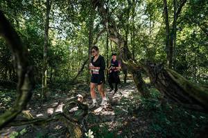 BIB: 
                            <button type="button" onclick="openModal(28069716)" class="btn btn-primary btn-sm float-right btn-popup" data-toggle="modal" data-target=".modal-high-quality">
                        <i class="fas fa-shopping-cart"></i> Add to Cart
                    </button>
                                            <button type="button" onclick="isThisMe(28069716, true)" class="btn btn-success btn-sm float-right btn-popup btn-isme hidden" data-toggle="tooltip" data-placement="bottom" title="นี่คือรูปของคุณใช่ไหม คลิกที่นี่เพื่อเอาเข้าอัลบั้ม">
                        <i class="fas fa-plus"></i> Add to album
                    </button>
                    <button type="button" onclick="isThisMe(28069716, false)" class="btn btn-warning btn-sm float-right btn-popup btn-isnotme hidden">
                        <i class="fas fa-ban"></i> Remove from album
                    </button>