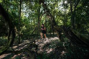 BIB: 
                            <button type="button" onclick="openModal(27955700)" class="btn btn-primary btn-sm float-right btn-popup" data-toggle="modal" data-target=".modal-high-quality">
                        <i class="fas fa-shopping-cart"></i> Add to Cart
                    </button>
                                            <button type="button" onclick="isThisMe(27955700, true)" class="btn btn-success btn-sm float-right btn-popup btn-isme hidden" data-toggle="tooltip" data-placement="bottom" title="นี่คือรูปของคุณใช่ไหม คลิกที่นี่เพื่อเอาเข้าอัลบั้ม">
                        <i class="fas fa-plus"></i> Add to album
                    </button>
                    <button type="button" onclick="isThisMe(27955700, false)" class="btn btn-warning btn-sm float-right btn-popup btn-isnotme hidden">
                        <i class="fas fa-ban"></i> Remove from album
                    </button>