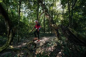 BIB: 
                            <button type="button" onclick="openModal(27955129)" class="btn btn-primary btn-sm float-right btn-popup" data-toggle="modal" data-target=".modal-high-quality">
                        <i class="fas fa-shopping-cart"></i> Add to Cart
                    </button>
                                            <button type="button" onclick="isThisMe(27955129, true)" class="btn btn-success btn-sm float-right btn-popup btn-isme hidden" data-toggle="tooltip" data-placement="bottom" title="นี่คือรูปของคุณใช่ไหม คลิกที่นี่เพื่อเอาเข้าอัลบั้ม">
                        <i class="fas fa-plus"></i> Add to album
                    </button>
                    <button type="button" onclick="isThisMe(27955129, false)" class="btn btn-warning btn-sm float-right btn-popup btn-isnotme hidden">
                        <i class="fas fa-ban"></i> Remove from album
                    </button>