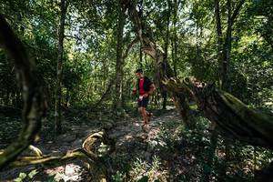 BIB: 
                            <button type="button" onclick="openModal(28068561)" class="btn btn-primary btn-sm float-right btn-popup" data-toggle="modal" data-target=".modal-high-quality">
                        <i class="fas fa-shopping-cart"></i> Add to Cart
                    </button>
                                            <button type="button" onclick="isThisMe(28068561, true)" class="btn btn-success btn-sm float-right btn-popup btn-isme hidden" data-toggle="tooltip" data-placement="bottom" title="นี่คือรูปของคุณใช่ไหม คลิกที่นี่เพื่อเอาเข้าอัลบั้ม">
                        <i class="fas fa-plus"></i> Add to album
                    </button>
                    <button type="button" onclick="isThisMe(28068561, false)" class="btn btn-warning btn-sm float-right btn-popup btn-isnotme hidden">
                        <i class="fas fa-ban"></i> Remove from album
                    </button>