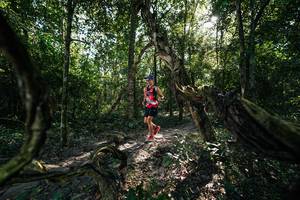 BIB: 
                            <button type="button" onclick="openModal(27955058)" class="btn btn-primary btn-sm float-right btn-popup" data-toggle="modal" data-target=".modal-high-quality">
                        <i class="fas fa-shopping-cart"></i> Add to Cart
                    </button>
                                            <button type="button" onclick="isThisMe(27955058, true)" class="btn btn-success btn-sm float-right btn-popup btn-isme hidden" data-toggle="tooltip" data-placement="bottom" title="นี่คือรูปของคุณใช่ไหม คลิกที่นี่เพื่อเอาเข้าอัลบั้ม">
                        <i class="fas fa-plus"></i> Add to album
                    </button>
                    <button type="button" onclick="isThisMe(27955058, false)" class="btn btn-warning btn-sm float-right btn-popup btn-isnotme hidden">
                        <i class="fas fa-ban"></i> Remove from album
                    </button>