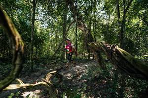 BIB: 
                            <button type="button" onclick="openModal(28068219)" class="btn btn-primary btn-sm float-right btn-popup" data-toggle="modal" data-target=".modal-high-quality">
                        <i class="fas fa-shopping-cart"></i> Add to Cart
                    </button>
                                            <button type="button" onclick="isThisMe(28068219, true)" class="btn btn-success btn-sm float-right btn-popup btn-isme hidden" data-toggle="tooltip" data-placement="bottom" title="นี่คือรูปของคุณใช่ไหม คลิกที่นี่เพื่อเอาเข้าอัลบั้ม">
                        <i class="fas fa-plus"></i> Add to album
                    </button>
                    <button type="button" onclick="isThisMe(28068219, false)" class="btn btn-warning btn-sm float-right btn-popup btn-isnotme hidden">
                        <i class="fas fa-ban"></i> Remove from album
                    </button>