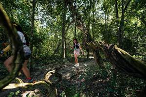 BIB: 
                            <button type="button" onclick="openModal(28068102)" class="btn btn-primary btn-sm float-right btn-popup" data-toggle="modal" data-target=".modal-high-quality">
                        <i class="fas fa-shopping-cart"></i> Add to Cart
                    </button>
                                            <button type="button" onclick="isThisMe(28068102, true)" class="btn btn-success btn-sm float-right btn-popup btn-isme hidden" data-toggle="tooltip" data-placement="bottom" title="นี่คือรูปของคุณใช่ไหม คลิกที่นี่เพื่อเอาเข้าอัลบั้ม">
                        <i class="fas fa-plus"></i> Add to album
                    </button>
                    <button type="button" onclick="isThisMe(28068102, false)" class="btn btn-warning btn-sm float-right btn-popup btn-isnotme hidden">
                        <i class="fas fa-ban"></i> Remove from album
                    </button>