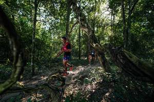 BIB: 
                            <button type="button" onclick="openModal(27955150)" class="btn btn-primary btn-sm float-right btn-popup" data-toggle="modal" data-target=".modal-high-quality">
                        <i class="fas fa-shopping-cart"></i> Add to Cart
                    </button>
                                            <button type="button" onclick="isThisMe(27955150, true)" class="btn btn-success btn-sm float-right btn-popup btn-isme hidden" data-toggle="tooltip" data-placement="bottom" title="นี่คือรูปของคุณใช่ไหม คลิกที่นี่เพื่อเอาเข้าอัลบั้ม">
                        <i class="fas fa-plus"></i> Add to album
                    </button>
                    <button type="button" onclick="isThisMe(27955150, false)" class="btn btn-warning btn-sm float-right btn-popup btn-isnotme hidden">
                        <i class="fas fa-ban"></i> Remove from album
                    </button>