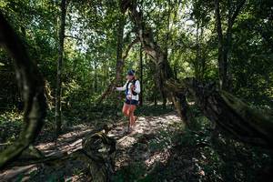 BIB: 
                            <button type="button" onclick="openModal(27955622)" class="btn btn-primary btn-sm float-right btn-popup" data-toggle="modal" data-target=".modal-high-quality">
                        <i class="fas fa-shopping-cart"></i> Add to Cart
                    </button>
                                            <button type="button" onclick="isThisMe(27955622, true)" class="btn btn-success btn-sm float-right btn-popup btn-isme hidden" data-toggle="tooltip" data-placement="bottom" title="นี่คือรูปของคุณใช่ไหม คลิกที่นี่เพื่อเอาเข้าอัลบั้ม">
                        <i class="fas fa-plus"></i> Add to album
                    </button>
                    <button type="button" onclick="isThisMe(27955622, false)" class="btn btn-warning btn-sm float-right btn-popup btn-isnotme hidden">
                        <i class="fas fa-ban"></i> Remove from album
                    </button>