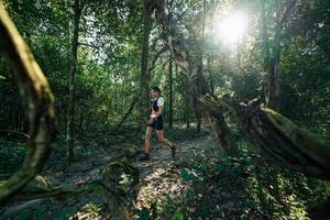 BIB: 
                            <button type="button" onclick="openModal(27954832)" class="btn btn-primary btn-sm float-right btn-popup" data-toggle="modal" data-target=".modal-high-quality">
                        <i class="fas fa-shopping-cart"></i> Add to Cart
                    </button>
                                            <button type="button" onclick="isThisMe(27954832, true)" class="btn btn-success btn-sm float-right btn-popup btn-isme hidden" data-toggle="tooltip" data-placement="bottom" title="นี่คือรูปของคุณใช่ไหม คลิกที่นี่เพื่อเอาเข้าอัลบั้ม">
                        <i class="fas fa-plus"></i> Add to album
                    </button>
                    <button type="button" onclick="isThisMe(27954832, false)" class="btn btn-warning btn-sm float-right btn-popup btn-isnotme hidden">
                        <i class="fas fa-ban"></i> Remove from album
                    </button>