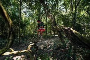 BIB: 
                            <button type="button" onclick="openModal(28068161)" class="btn btn-primary btn-sm float-right btn-popup" data-toggle="modal" data-target=".modal-high-quality">
                        <i class="fas fa-shopping-cart"></i> Add to Cart
                    </button>
                                            <button type="button" onclick="isThisMe(28068161, true)" class="btn btn-success btn-sm float-right btn-popup btn-isme hidden" data-toggle="tooltip" data-placement="bottom" title="นี่คือรูปของคุณใช่ไหม คลิกที่นี่เพื่อเอาเข้าอัลบั้ม">
                        <i class="fas fa-plus"></i> Add to album
                    </button>
                    <button type="button" onclick="isThisMe(28068161, false)" class="btn btn-warning btn-sm float-right btn-popup btn-isnotme hidden">
                        <i class="fas fa-ban"></i> Remove from album
                    </button>