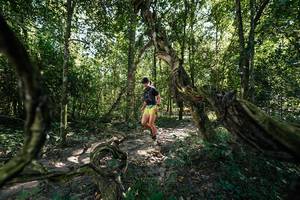 BIB: 
                            <button type="button" onclick="openModal(28070193)" class="btn btn-primary btn-sm float-right btn-popup" data-toggle="modal" data-target=".modal-high-quality">
                        <i class="fas fa-shopping-cart"></i> Add to Cart
                    </button>
                                            <button type="button" onclick="isThisMe(28070193, true)" class="btn btn-success btn-sm float-right btn-popup btn-isme hidden" data-toggle="tooltip" data-placement="bottom" title="นี่คือรูปของคุณใช่ไหม คลิกที่นี่เพื่อเอาเข้าอัลบั้ม">
                        <i class="fas fa-plus"></i> Add to album
                    </button>
                    <button type="button" onclick="isThisMe(28070193, false)" class="btn btn-warning btn-sm float-right btn-popup btn-isnotme hidden">
                        <i class="fas fa-ban"></i> Remove from album
                    </button>