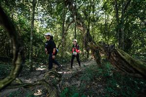 BIB: 
                            <button type="button" onclick="openModal(28072454)" class="btn btn-primary btn-sm float-right btn-popup" data-toggle="modal" data-target=".modal-high-quality">
                        <i class="fas fa-shopping-cart"></i> Add to Cart
                    </button>
                                            <button type="button" onclick="isThisMe(28072454, true)" class="btn btn-success btn-sm float-right btn-popup btn-isme hidden" data-toggle="tooltip" data-placement="bottom" title="นี่คือรูปของคุณใช่ไหม คลิกที่นี่เพื่อเอาเข้าอัลบั้ม">
                        <i class="fas fa-plus"></i> Add to album
                    </button>
                    <button type="button" onclick="isThisMe(28072454, false)" class="btn btn-warning btn-sm float-right btn-popup btn-isnotme hidden">
                        <i class="fas fa-ban"></i> Remove from album
                    </button>