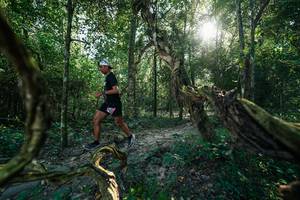 BIB: 
                            <button type="button" onclick="openModal(27954129)" class="btn btn-primary btn-sm float-right btn-popup" data-toggle="modal" data-target=".modal-high-quality">
                        <i class="fas fa-shopping-cart"></i> Add to Cart
                    </button>
                                            <button type="button" onclick="isThisMe(27954129, true)" class="btn btn-success btn-sm float-right btn-popup btn-isme hidden" data-toggle="tooltip" data-placement="bottom" title="นี่คือรูปของคุณใช่ไหม คลิกที่นี่เพื่อเอาเข้าอัลบั้ม">
                        <i class="fas fa-plus"></i> Add to album
                    </button>
                    <button type="button" onclick="isThisMe(27954129, false)" class="btn btn-warning btn-sm float-right btn-popup btn-isnotme hidden">
                        <i class="fas fa-ban"></i> Remove from album
                    </button>