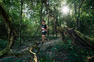 BIB: 
                            <button type="button" onclick="openModal(27954060)" class="btn btn-primary btn-sm float-right btn-popup" data-toggle="modal" data-target=".modal-high-quality">
                        <i class="fas fa-shopping-cart"></i> Add to Cart
                    </button>
                                            <button type="button" onclick="isThisMe(27954060, true)" class="btn btn-success btn-sm float-right btn-popup btn-isme hidden" data-toggle="tooltip" data-placement="bottom" title="นี่คือรูปของคุณใช่ไหม คลิกที่นี่เพื่อเอาเข้าอัลบั้ม">
                        <i class="fas fa-plus"></i> Add to album
                    </button>
                    <button type="button" onclick="isThisMe(27954060, false)" class="btn btn-warning btn-sm float-right btn-popup btn-isnotme hidden">
                        <i class="fas fa-ban"></i> Remove from album
                    </button>