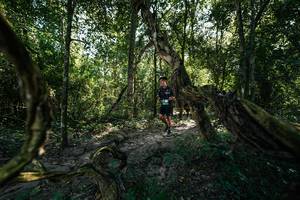 BIB: 
                            <button type="button" onclick="openModal(28057627)" class="btn btn-primary btn-sm float-right btn-popup" data-toggle="modal" data-target=".modal-high-quality">
                        <i class="fas fa-shopping-cart"></i> Add to Cart
                    </button>
                                            <button type="button" onclick="isThisMe(28057627, true)" class="btn btn-success btn-sm float-right btn-popup btn-isme hidden" data-toggle="tooltip" data-placement="bottom" title="นี่คือรูปของคุณใช่ไหม คลิกที่นี่เพื่อเอาเข้าอัลบั้ม">
                        <i class="fas fa-plus"></i> Add to album
                    </button>
                    <button type="button" onclick="isThisMe(28057627, false)" class="btn btn-warning btn-sm float-right btn-popup btn-isnotme hidden">
                        <i class="fas fa-ban"></i> Remove from album
                    </button>