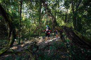 BIB: 
                            <button type="button" onclick="openModal(28056951)" class="btn btn-primary btn-sm float-right btn-popup" data-toggle="modal" data-target=".modal-high-quality">
                        <i class="fas fa-shopping-cart"></i> Add to Cart
                    </button>
                                            <button type="button" onclick="isThisMe(28056951, true)" class="btn btn-success btn-sm float-right btn-popup btn-isme hidden" data-toggle="tooltip" data-placement="bottom" title="นี่คือรูปของคุณใช่ไหม คลิกที่นี่เพื่อเอาเข้าอัลบั้ม">
                        <i class="fas fa-plus"></i> Add to album
                    </button>
                    <button type="button" onclick="isThisMe(28056951, false)" class="btn btn-warning btn-sm float-right btn-popup btn-isnotme hidden">
                        <i class="fas fa-ban"></i> Remove from album
                    </button>