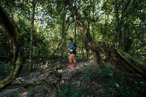 BIB: 
                            <button type="button" onclick="openModal(28072709)" class="btn btn-primary btn-sm float-right btn-popup" data-toggle="modal" data-target=".modal-high-quality">
                        <i class="fas fa-shopping-cart"></i> Add to Cart
                    </button>
                                            <button type="button" onclick="isThisMe(28072709, true)" class="btn btn-success btn-sm float-right btn-popup btn-isme hidden" data-toggle="tooltip" data-placement="bottom" title="นี่คือรูปของคุณใช่ไหม คลิกที่นี่เพื่อเอาเข้าอัลบั้ม">
                        <i class="fas fa-plus"></i> Add to album
                    </button>
                    <button type="button" onclick="isThisMe(28072709, false)" class="btn btn-warning btn-sm float-right btn-popup btn-isnotme hidden">
                        <i class="fas fa-ban"></i> Remove from album
                    </button>