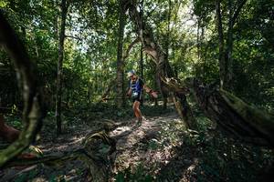 BIB: 
                            <button type="button" onclick="openModal(27955153)" class="btn btn-primary btn-sm float-right btn-popup" data-toggle="modal" data-target=".modal-high-quality">
                        <i class="fas fa-shopping-cart"></i> Add to Cart
                    </button>
                                            <button type="button" onclick="isThisMe(27955153, true)" class="btn btn-success btn-sm float-right btn-popup btn-isme hidden" data-toggle="tooltip" data-placement="bottom" title="นี่คือรูปของคุณใช่ไหม คลิกที่นี่เพื่อเอาเข้าอัลบั้ม">
                        <i class="fas fa-plus"></i> Add to album
                    </button>
                    <button type="button" onclick="isThisMe(27955153, false)" class="btn btn-warning btn-sm float-right btn-popup btn-isnotme hidden">
                        <i class="fas fa-ban"></i> Remove from album
                    </button>