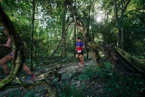 BIB: 
                            <button type="button" onclick="openModal(27953553)" class="btn btn-primary btn-sm float-right btn-popup" data-toggle="modal" data-target=".modal-high-quality">
                        <i class="fas fa-shopping-cart"></i> Add to Cart
                    </button>
                                            <button type="button" onclick="isThisMe(27953553, true)" class="btn btn-success btn-sm float-right btn-popup btn-isme hidden" data-toggle="tooltip" data-placement="bottom" title="นี่คือรูปของคุณใช่ไหม คลิกที่นี่เพื่อเอาเข้าอัลบั้ม">
                        <i class="fas fa-plus"></i> Add to album
                    </button>
                    <button type="button" onclick="isThisMe(27953553, false)" class="btn btn-warning btn-sm float-right btn-popup btn-isnotme hidden">
                        <i class="fas fa-ban"></i> Remove from album
                    </button>