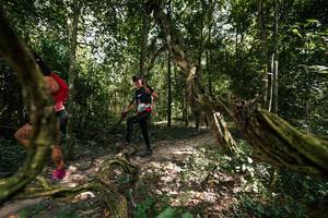 BIB: 
                            <button type="button" onclick="openModal(28076704)" class="btn btn-primary btn-sm float-right btn-popup" data-toggle="modal" data-target=".modal-high-quality">
                        <i class="fas fa-shopping-cart"></i> Add to Cart
                    </button>
                                            <button type="button" onclick="isThisMe(28076704, true)" class="btn btn-success btn-sm float-right btn-popup btn-isme hidden" data-toggle="tooltip" data-placement="bottom" title="นี่คือรูปของคุณใช่ไหม คลิกที่นี่เพื่อเอาเข้าอัลบั้ม">
                        <i class="fas fa-plus"></i> Add to album
                    </button>
                    <button type="button" onclick="isThisMe(28076704, false)" class="btn btn-warning btn-sm float-right btn-popup btn-isnotme hidden">
                        <i class="fas fa-ban"></i> Remove from album
                    </button>