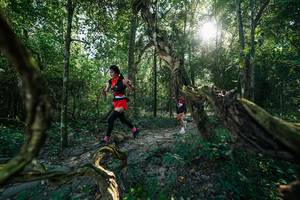 BIB: 
                            <button type="button" onclick="openModal(27954080)" class="btn btn-primary btn-sm float-right btn-popup" data-toggle="modal" data-target=".modal-high-quality">
                        <i class="fas fa-shopping-cart"></i> Add to Cart
                    </button>
                                            <button type="button" onclick="isThisMe(27954080, true)" class="btn btn-success btn-sm float-right btn-popup btn-isme hidden" data-toggle="tooltip" data-placement="bottom" title="นี่คือรูปของคุณใช่ไหม คลิกที่นี่เพื่อเอาเข้าอัลบั้ม">
                        <i class="fas fa-plus"></i> Add to album
                    </button>
                    <button type="button" onclick="isThisMe(27954080, false)" class="btn btn-warning btn-sm float-right btn-popup btn-isnotme hidden">
                        <i class="fas fa-ban"></i> Remove from album
                    </button>