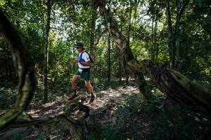 BIB: 
                            <button type="button" onclick="openModal(27955879)" class="btn btn-primary btn-sm float-right btn-popup" data-toggle="modal" data-target=".modal-high-quality">
                        <i class="fas fa-shopping-cart"></i> Add to Cart
                    </button>
                                            <button type="button" onclick="isThisMe(27955879, true)" class="btn btn-success btn-sm float-right btn-popup btn-isme hidden" data-toggle="tooltip" data-placement="bottom" title="นี่คือรูปของคุณใช่ไหม คลิกที่นี่เพื่อเอาเข้าอัลบั้ม">
                        <i class="fas fa-plus"></i> Add to album
                    </button>
                    <button type="button" onclick="isThisMe(27955879, false)" class="btn btn-warning btn-sm float-right btn-popup btn-isnotme hidden">
                        <i class="fas fa-ban"></i> Remove from album
                    </button>