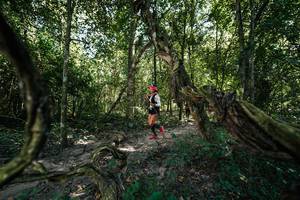 BIB: 
                            <button type="button" onclick="openModal(28072428)" class="btn btn-primary btn-sm float-right btn-popup" data-toggle="modal" data-target=".modal-high-quality">
                        <i class="fas fa-shopping-cart"></i> Add to Cart
                    </button>
                                            <button type="button" onclick="isThisMe(28072428, true)" class="btn btn-success btn-sm float-right btn-popup btn-isme hidden" data-toggle="tooltip" data-placement="bottom" title="นี่คือรูปของคุณใช่ไหม คลิกที่นี่เพื่อเอาเข้าอัลบั้ม">
                        <i class="fas fa-plus"></i> Add to album
                    </button>
                    <button type="button" onclick="isThisMe(28072428, false)" class="btn btn-warning btn-sm float-right btn-popup btn-isnotme hidden">
                        <i class="fas fa-ban"></i> Remove from album
                    </button>