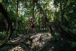 BIB: 
                            <button type="button" onclick="openModal(27955319)" class="btn btn-primary btn-sm float-right btn-popup" data-toggle="modal" data-target=".modal-high-quality">
                        <i class="fas fa-shopping-cart"></i> Add to Cart
                    </button>
                                            <button type="button" onclick="isThisMe(27955319, true)" class="btn btn-success btn-sm float-right btn-popup btn-isme hidden" data-toggle="tooltip" data-placement="bottom" title="นี่คือรูปของคุณใช่ไหม คลิกที่นี่เพื่อเอาเข้าอัลบั้ม">
                        <i class="fas fa-plus"></i> Add to album
                    </button>
                    <button type="button" onclick="isThisMe(27955319, false)" class="btn btn-warning btn-sm float-right btn-popup btn-isnotme hidden">
                        <i class="fas fa-ban"></i> Remove from album
                    </button>