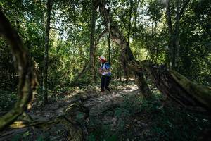 BIB: 
                            <button type="button" onclick="openModal(28057551)" class="btn btn-primary btn-sm float-right btn-popup" data-toggle="modal" data-target=".modal-high-quality">
                        <i class="fas fa-shopping-cart"></i> Add to Cart
                    </button>
                                            <button type="button" onclick="isThisMe(28057551, true)" class="btn btn-success btn-sm float-right btn-popup btn-isme hidden" data-toggle="tooltip" data-placement="bottom" title="นี่คือรูปของคุณใช่ไหม คลิกที่นี่เพื่อเอาเข้าอัลบั้ม">
                        <i class="fas fa-plus"></i> Add to album
                    </button>
                    <button type="button" onclick="isThisMe(28057551, false)" class="btn btn-warning btn-sm float-right btn-popup btn-isnotme hidden">
                        <i class="fas fa-ban"></i> Remove from album
                    </button>