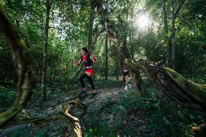 BIB: 
                            <button type="button" onclick="openModal(27954078)" class="btn btn-primary btn-sm float-right btn-popup" data-toggle="modal" data-target=".modal-high-quality">
                        <i class="fas fa-shopping-cart"></i> Add to Cart
                    </button>
                                            <button type="button" onclick="isThisMe(27954078, true)" class="btn btn-success btn-sm float-right btn-popup btn-isme hidden" data-toggle="tooltip" data-placement="bottom" title="นี่คือรูปของคุณใช่ไหม คลิกที่นี่เพื่อเอาเข้าอัลบั้ม">
                        <i class="fas fa-plus"></i> Add to album
                    </button>
                    <button type="button" onclick="isThisMe(27954078, false)" class="btn btn-warning btn-sm float-right btn-popup btn-isnotme hidden">
                        <i class="fas fa-ban"></i> Remove from album
                    </button>