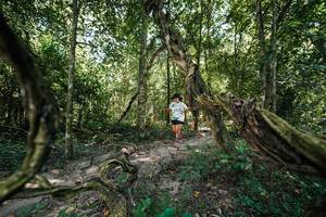 BIB: 
                            <button type="button" onclick="openModal(28073646)" class="btn btn-primary btn-sm float-right btn-popup" data-toggle="modal" data-target=".modal-high-quality">
                        <i class="fas fa-shopping-cart"></i> Add to Cart
                    </button>
                                            <button type="button" onclick="isThisMe(28073646, true)" class="btn btn-success btn-sm float-right btn-popup btn-isme hidden" data-toggle="tooltip" data-placement="bottom" title="นี่คือรูปของคุณใช่ไหม คลิกที่นี่เพื่อเอาเข้าอัลบั้ม">
                        <i class="fas fa-plus"></i> Add to album
                    </button>
                    <button type="button" onclick="isThisMe(28073646, false)" class="btn btn-warning btn-sm float-right btn-popup btn-isnotme hidden">
                        <i class="fas fa-ban"></i> Remove from album
                    </button>