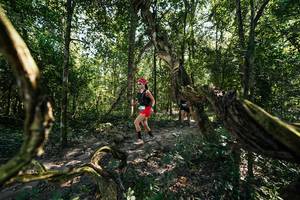 BIB: 
                            <button type="button" onclick="openModal(28066734)" class="btn btn-primary btn-sm float-right btn-popup" data-toggle="modal" data-target=".modal-high-quality">
                        <i class="fas fa-shopping-cart"></i> Add to Cart
                    </button>
                                            <button type="button" onclick="isThisMe(28066734, true)" class="btn btn-success btn-sm float-right btn-popup btn-isme hidden" data-toggle="tooltip" data-placement="bottom" title="นี่คือรูปของคุณใช่ไหม คลิกที่นี่เพื่อเอาเข้าอัลบั้ม">
                        <i class="fas fa-plus"></i> Add to album
                    </button>
                    <button type="button" onclick="isThisMe(28066734, false)" class="btn btn-warning btn-sm float-right btn-popup btn-isnotme hidden">
                        <i class="fas fa-ban"></i> Remove from album
                    </button>