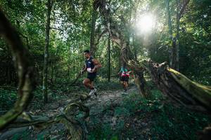 BIB: 
                            <button type="button" onclick="openModal(27953871)" class="btn btn-primary btn-sm float-right btn-popup" data-toggle="modal" data-target=".modal-high-quality">
                        <i class="fas fa-shopping-cart"></i> Add to Cart
                    </button>
                                            <button type="button" onclick="isThisMe(27953871, true)" class="btn btn-success btn-sm float-right btn-popup btn-isme hidden" data-toggle="tooltip" data-placement="bottom" title="นี่คือรูปของคุณใช่ไหม คลิกที่นี่เพื่อเอาเข้าอัลบั้ม">
                        <i class="fas fa-plus"></i> Add to album
                    </button>
                    <button type="button" onclick="isThisMe(27953871, false)" class="btn btn-warning btn-sm float-right btn-popup btn-isnotme hidden">
                        <i class="fas fa-ban"></i> Remove from album
                    </button>