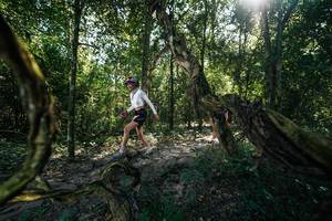 BIB: 
                            <button type="button" onclick="openModal(28057263)" class="btn btn-primary btn-sm float-right btn-popup" data-toggle="modal" data-target=".modal-high-quality">
                        <i class="fas fa-shopping-cart"></i> Add to Cart
                    </button>
                                            <button type="button" onclick="isThisMe(28057263, true)" class="btn btn-success btn-sm float-right btn-popup btn-isme hidden" data-toggle="tooltip" data-placement="bottom" title="นี่คือรูปของคุณใช่ไหม คลิกที่นี่เพื่อเอาเข้าอัลบั้ม">
                        <i class="fas fa-plus"></i> Add to album
                    </button>
                    <button type="button" onclick="isThisMe(28057263, false)" class="btn btn-warning btn-sm float-right btn-popup btn-isnotme hidden">
                        <i class="fas fa-ban"></i> Remove from album
                    </button>