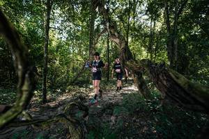 BIB: 
                            <button type="button" onclick="openModal(28057121)" class="btn btn-primary btn-sm float-right btn-popup" data-toggle="modal" data-target=".modal-high-quality">
                        <i class="fas fa-shopping-cart"></i> Add to Cart
                    </button>
                                            <button type="button" onclick="isThisMe(28057121, true)" class="btn btn-success btn-sm float-right btn-popup btn-isme hidden" data-toggle="tooltip" data-placement="bottom" title="นี่คือรูปของคุณใช่ไหม คลิกที่นี่เพื่อเอาเข้าอัลบั้ม">
                        <i class="fas fa-plus"></i> Add to album
                    </button>
                    <button type="button" onclick="isThisMe(28057121, false)" class="btn btn-warning btn-sm float-right btn-popup btn-isnotme hidden">
                        <i class="fas fa-ban"></i> Remove from album
                    </button>